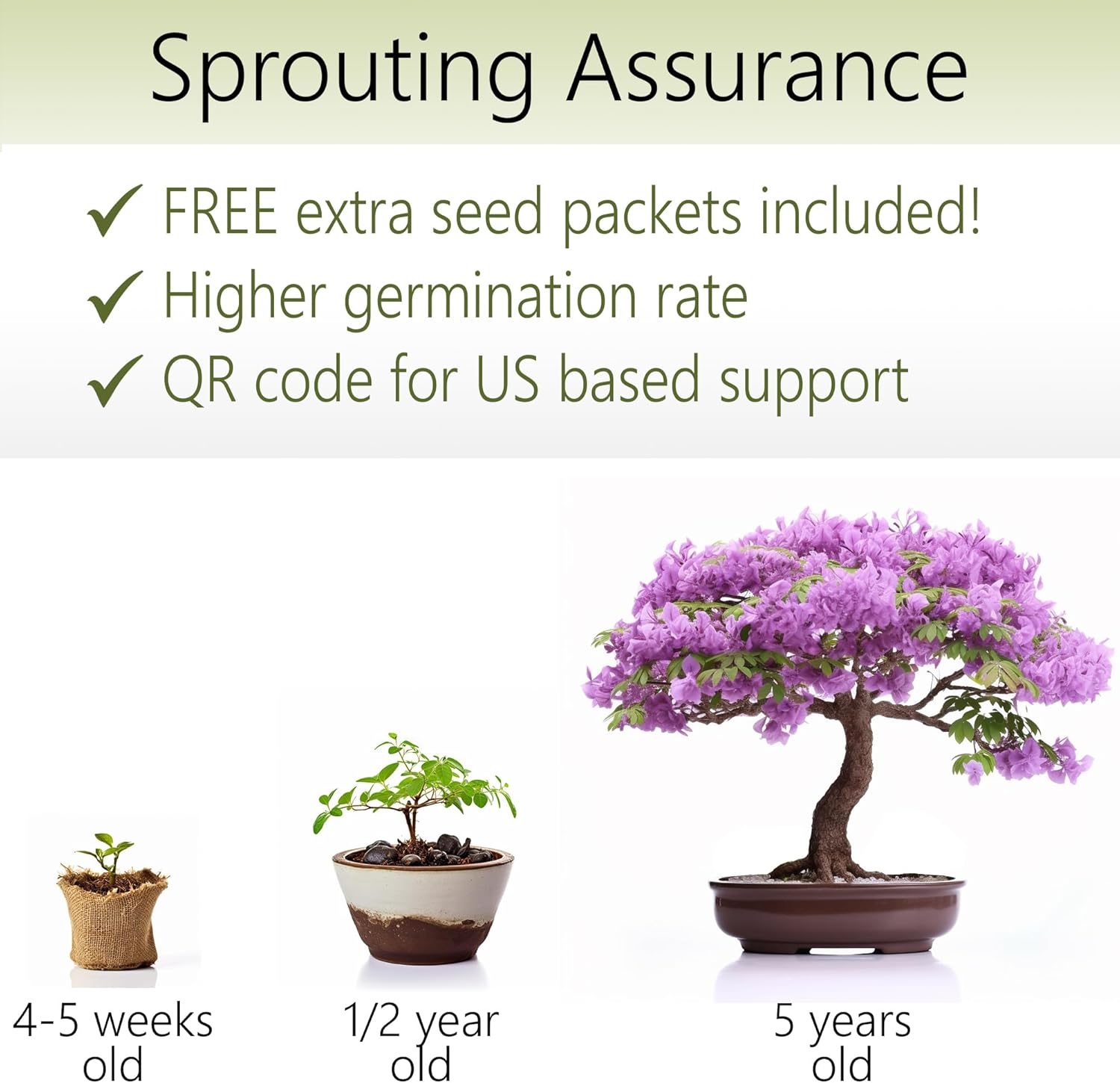 Nurture Serenity and Grow Your Inner Peace